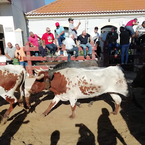 Casa Benfica Vila Franca de Xira - Vila Franca de Xira