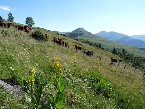 Hautes Terres communauté à Murat