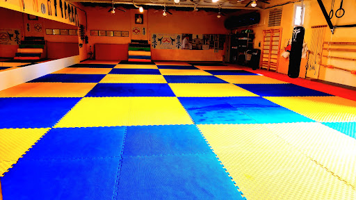 Yondan Dojo Karate Kyokushin en Els Pallaresos, Tarragona