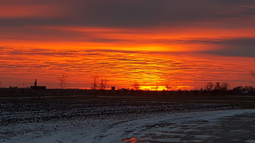 Discount Store «Dollar General», reviews and photos, 700 S Sycamore St, Villa Grove, IL 61956, USA