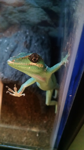 Pet Supply Store «Petco Animal Supplies», reviews and photos, 1049 S Willow St, Manchester, NH 03103, USA