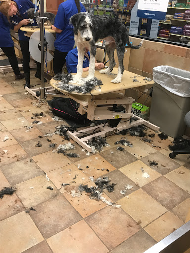 Pet Supply Store «PetSmart», reviews and photos, 916 Loganville Hwy, Bethlehem, GA 30620, USA