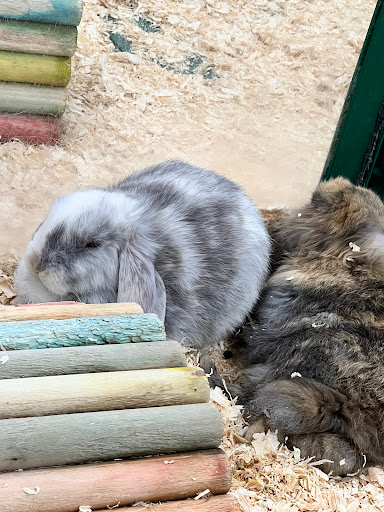 Pet Supply Store «Pet Expo Distributors», reviews and photos, 1800 Adams St, Mankato, MN 56001, USA