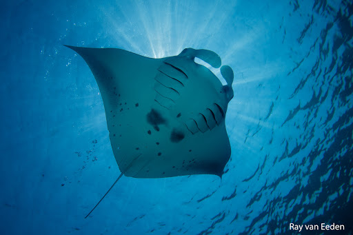 Travel Agency «Lugos Travel Incorporated», reviews and photos, 3825 Florida Ave S #2, Lakeland, FL 33813, USA