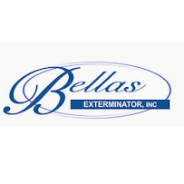 Bella's Exterminator - Photo 5 - Car repair in , Glendale