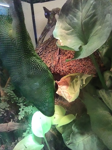 Pet Store «Fins Feathers Paws & Claws», reviews and photos, 436 Main St, Harleysville, PA 19438, USA