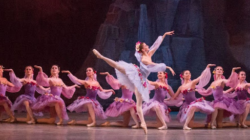 Academia Vaganova de Ballet