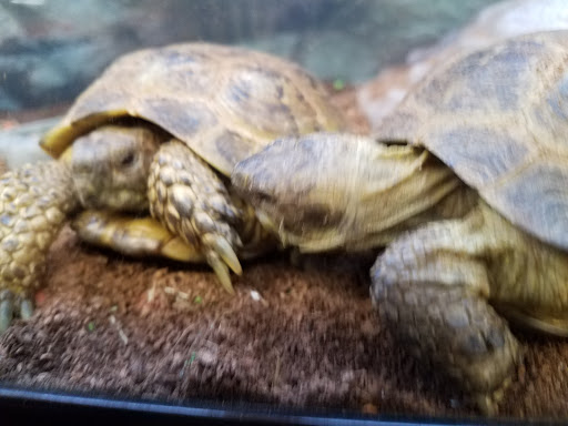 Pet Supply Store «Petco Animal Supplies», reviews and photos, 10 Sylvan St, Peabody, MA 01960, USA