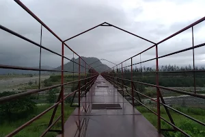 Arauka Hanging Bridge image