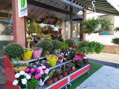 SOHO by Florilege à Canet-en-Roussillon