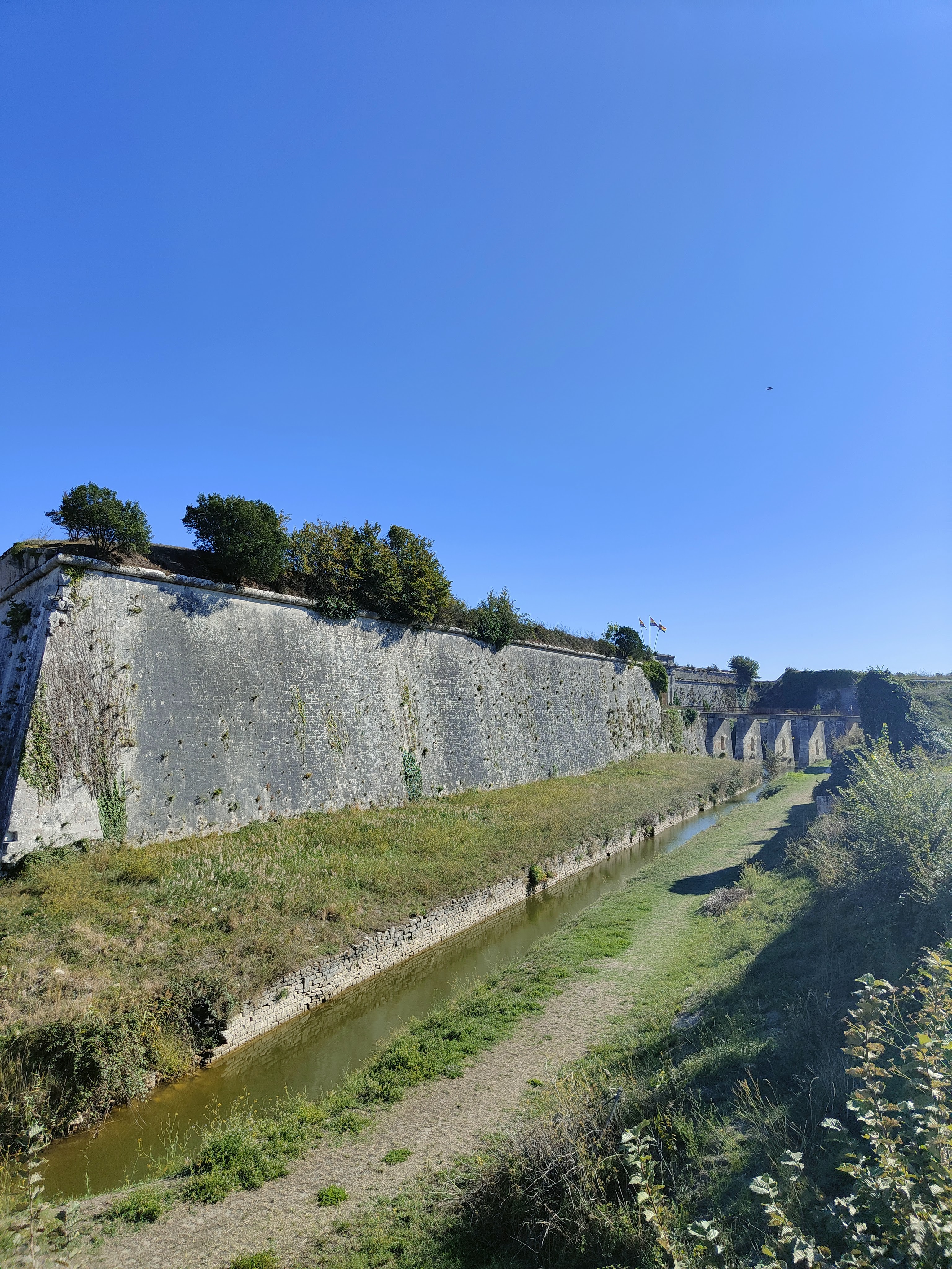 Photo n° 12 de l'avis de Frédéric.F fait le 22/09/2022 à 14:49
