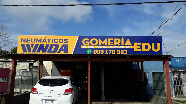 Gomeria EDU