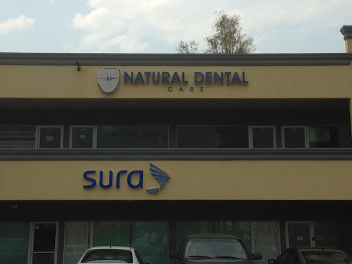 Natural Dental Care