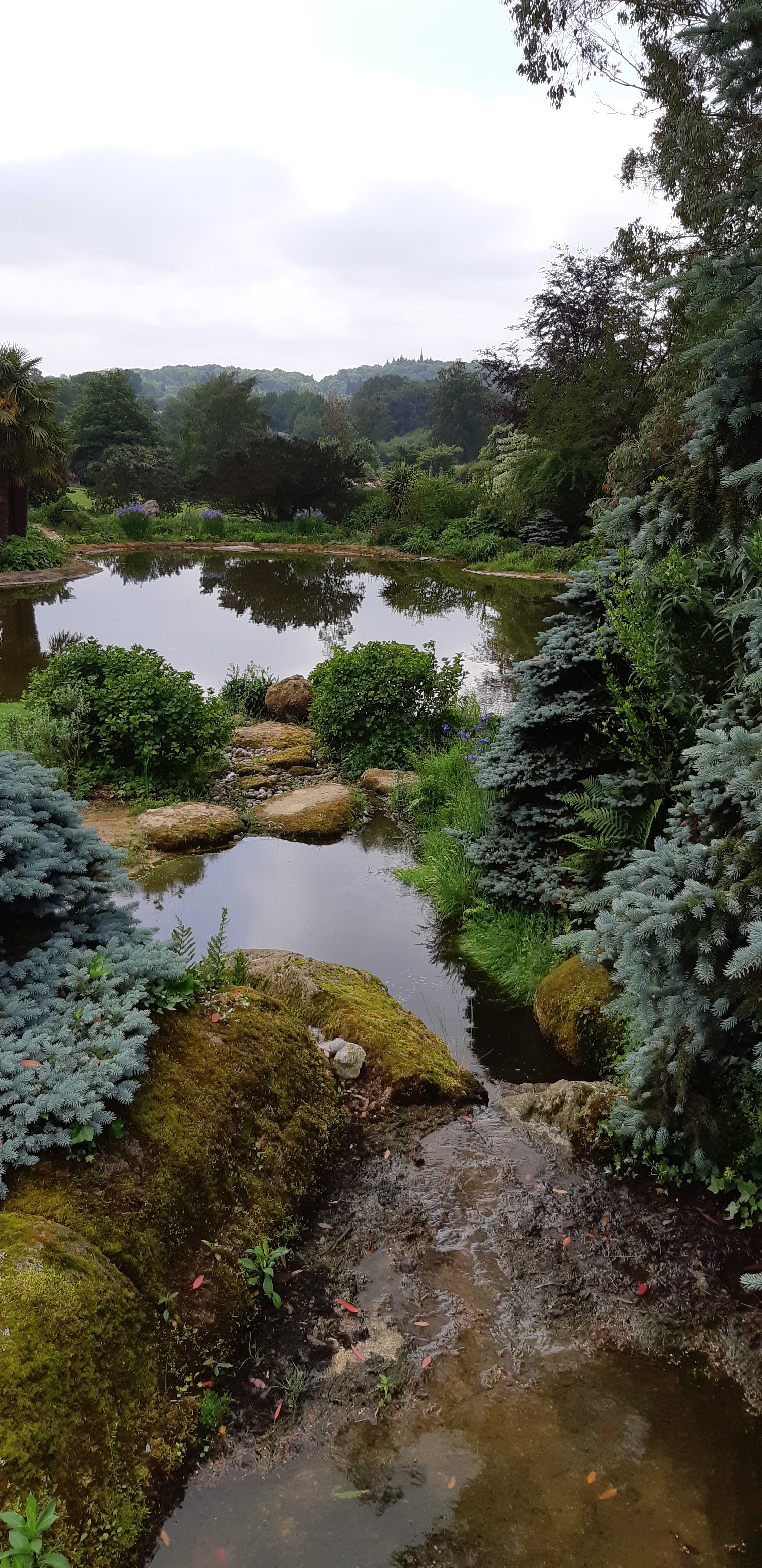 Photo n° 4 de l'avis de Hardouin.a fait le 03/07/2018 à 20:26