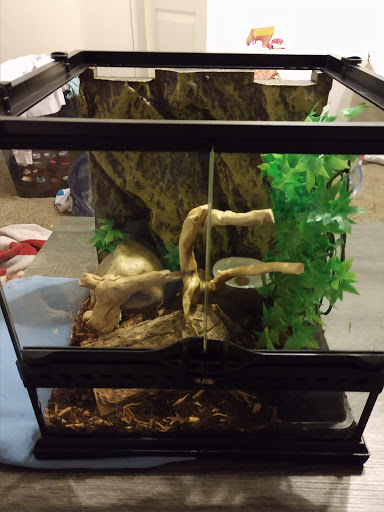 Reptile Store «LLLReptile & Supply Las Vegas», reviews and photos, 8450 W Sahara Ave #105, Las Vegas, NV 89117, USA