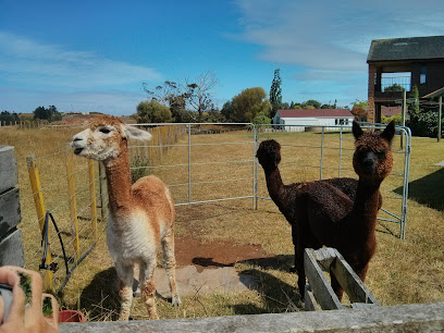 Ataahua Alpacas & Farmstay