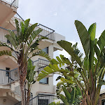 Photo n°1 de l'avis de Saftics.y fait le 07/07/2021 à 12:41 sur le  Atlantis Palace Hotel à Mascali