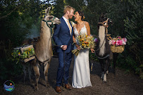 Gretchen Troop Photography - Photo 5 - Car repair in Boulder, CO, Boulder