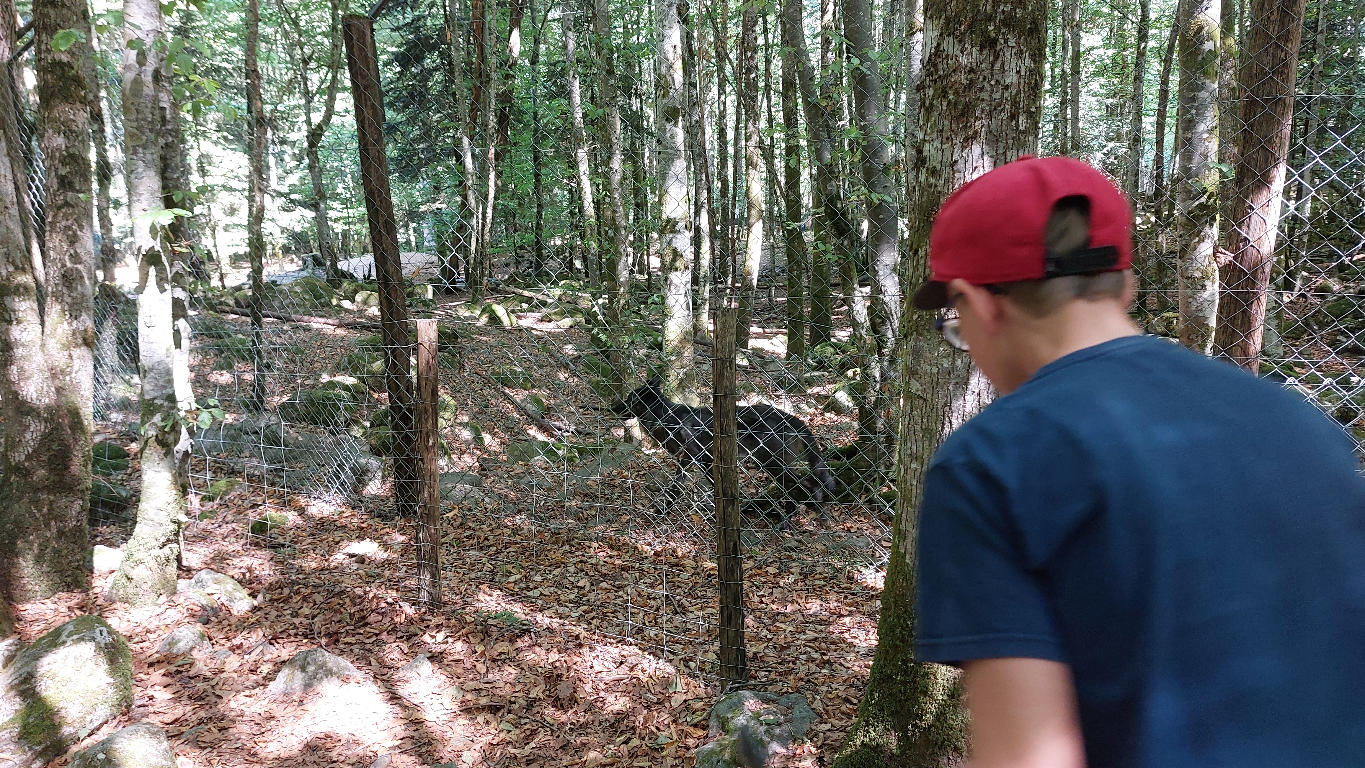 Photo n° 13 de l'avis de Stéphane.e fait le 14/08/2022 à 16:18