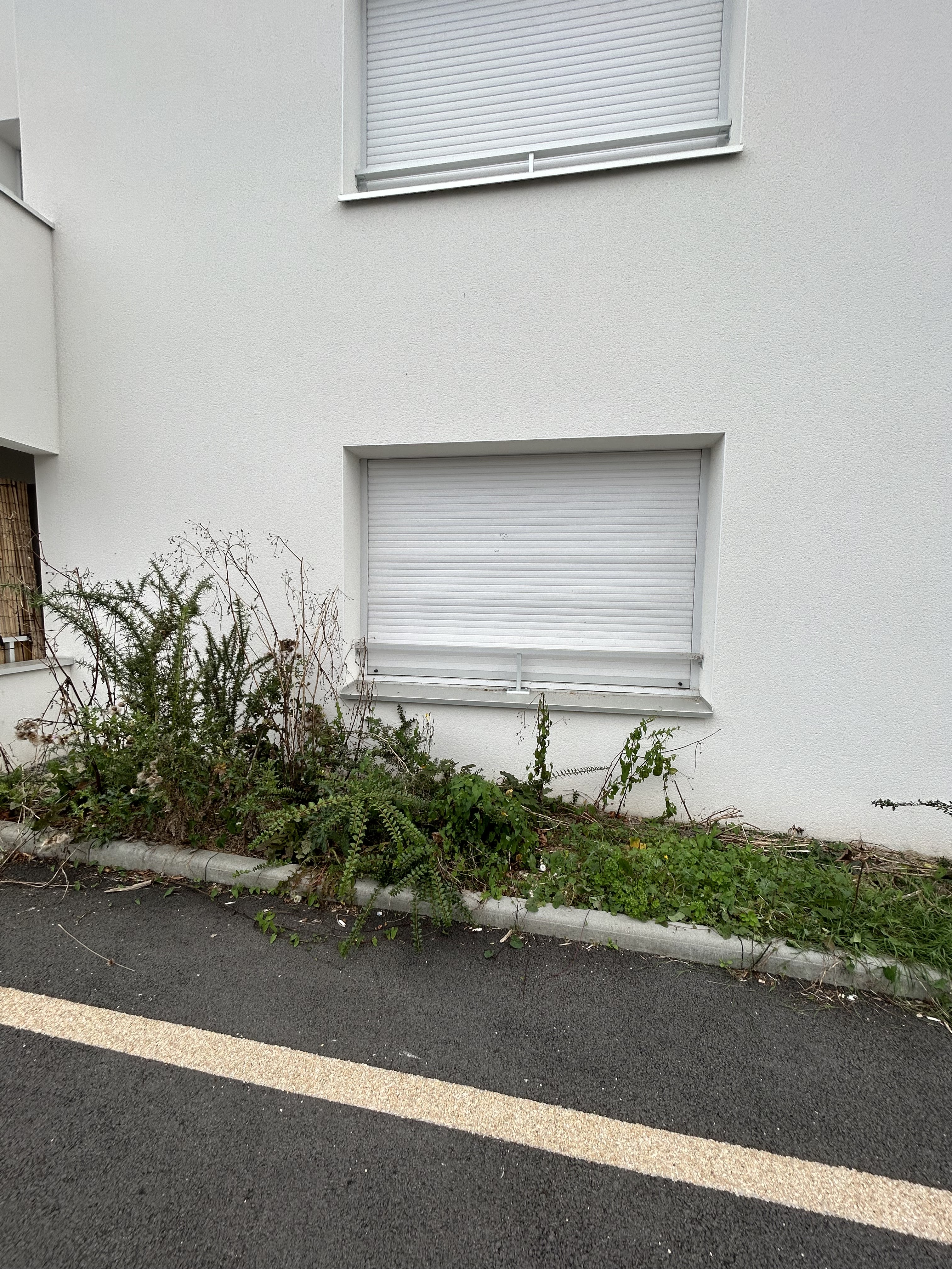 Photo n° 1 de l'avis de Lucie.r fait le 28/10/2023 à 11:56