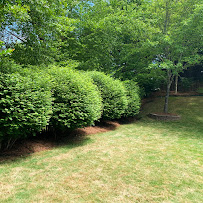 Ralph's Lawn Service - Photo 4 - Car repair in , Hickory