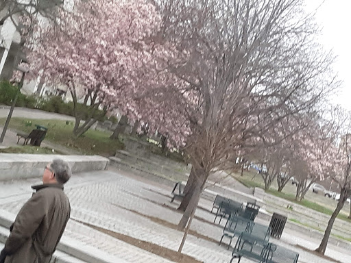 History Museum «Newseum», reviews and photos, 555 Pennsylvania Ave NW, Washington, DC 20001, USA