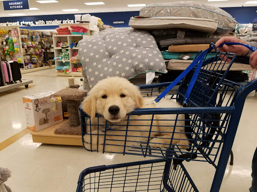 Department Store «Marshalls», reviews and photos, 9931 Mountain View Dr, West Mifflin, PA 15122, USA