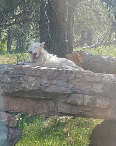 Water Park «Watiki Indoor Waterpark Resort», reviews and photos, 1314 N Elk Vale Rd, Rapid City, SD 57701, USA