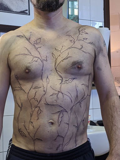 Tattoo Shop «Hydra Electric Tattoo», reviews and photos, 317 Green Bay Rd, Highwood, IL 60040, USA