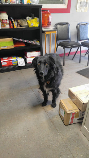 Auto Repair Shop «Michael and Sons Auto Repair, Inc.», reviews and photos, 25249 Telegraph Rd # 1, Flat Rock, MI 48134, USA