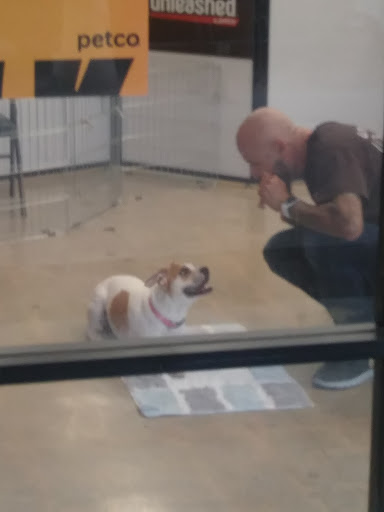 Pet Supply Store «Unleashed by Petco», reviews and photos, 16848 San Fernando Mission Blvd, Granada Hills, CA 91344, USA