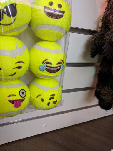 Animal Shelter «One of A Kind Pet Rescue», reviews and photos, 1929 W Market St, Akron, OH 44313, USA