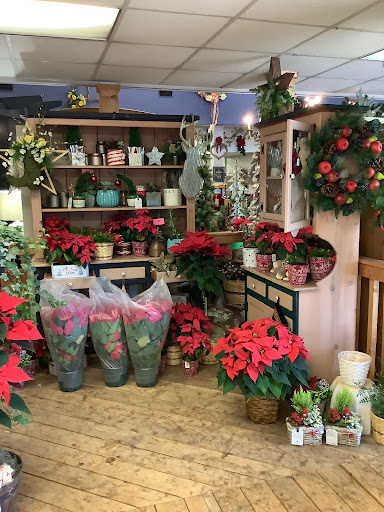 Florist «North Raleigh Florist», reviews and photos, 7457 Six Forks Rd, Raleigh, NC 27615, USA