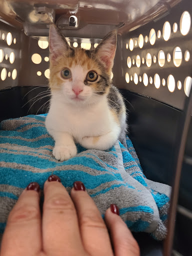 600 Cleveland St, Elyria, OH 44035, USA