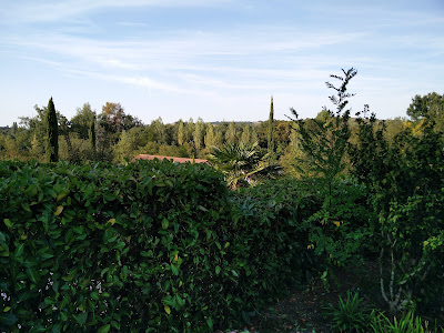 Het Mooiste Vakantiehuis Van Daumazan à Daumazan-sur-Arize