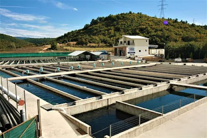 Ιχθυοκαλλιέργειες 'Fish Farm'