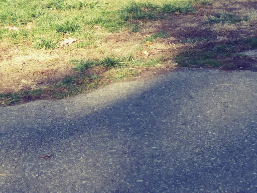 Park «Balduck Park», reviews and photos, 5271 Canyon St, Detroit, MI 48236, USA