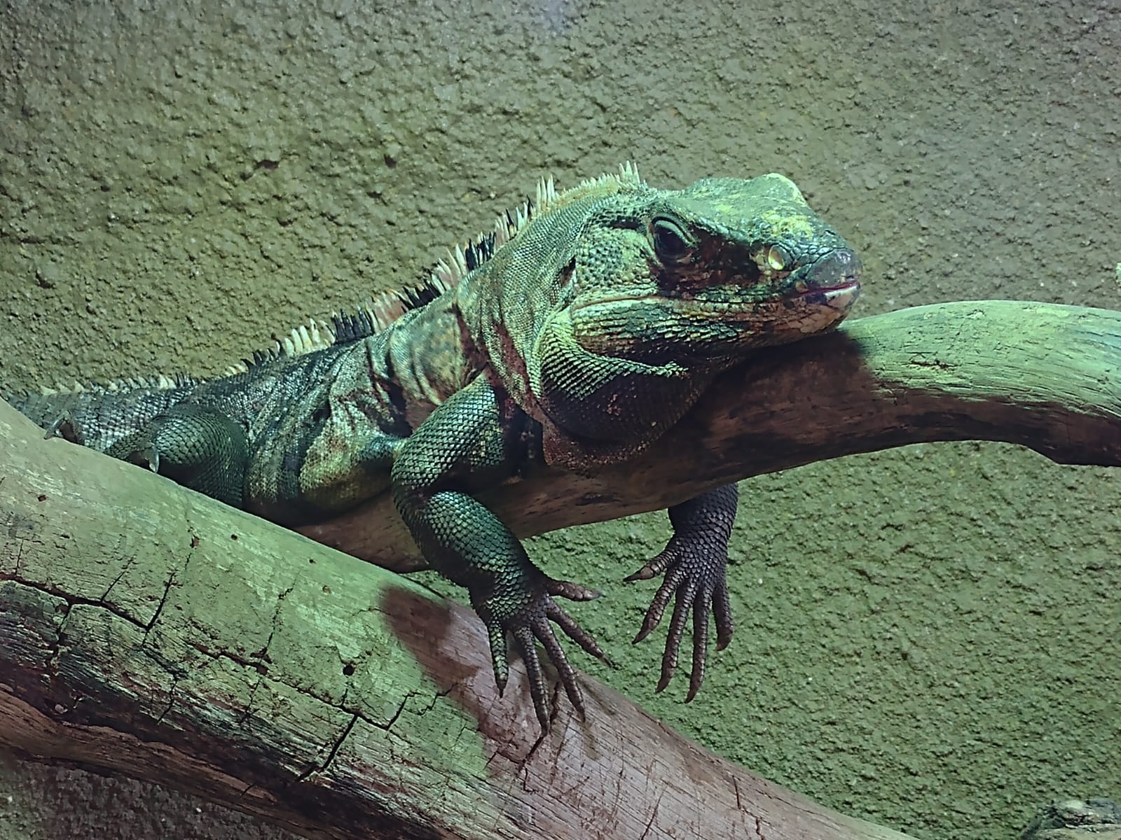 Photo n° 1 de l'avis de charlotte.� fait le 31/07/2023 à 16:02