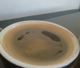 Nutbrown Coffee photo