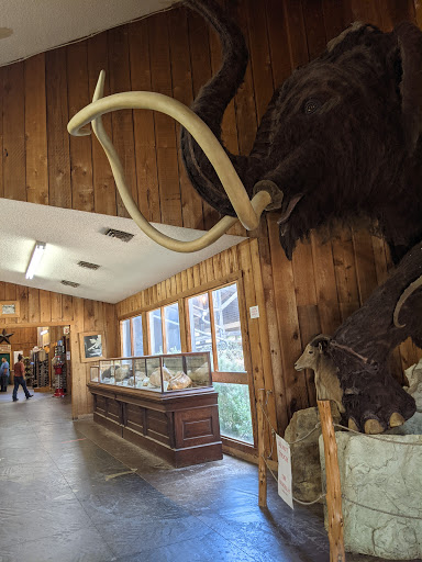 Tourist Attraction «Inner Space Cavern», reviews and photos, 4200 I-35, Georgetown, TX 78626, USA