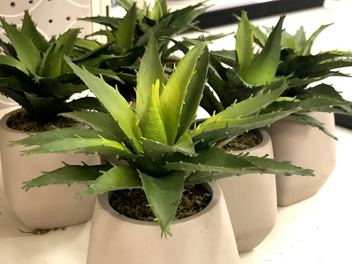 Department Store «Target», reviews and photos, 5437 Urbana Pike, Frederick, MD 21704, USA