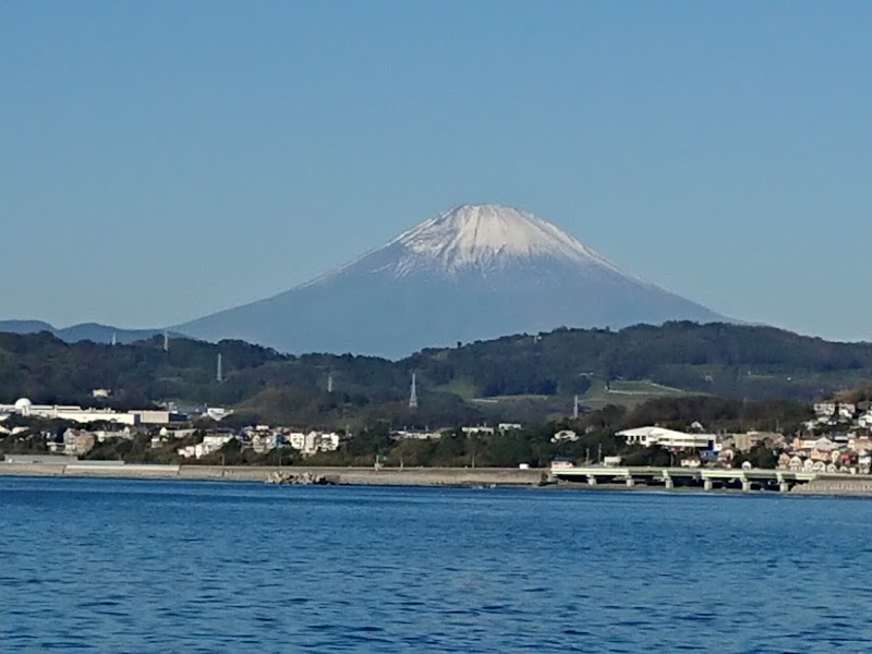 三浦市超低温冷蔵（株）