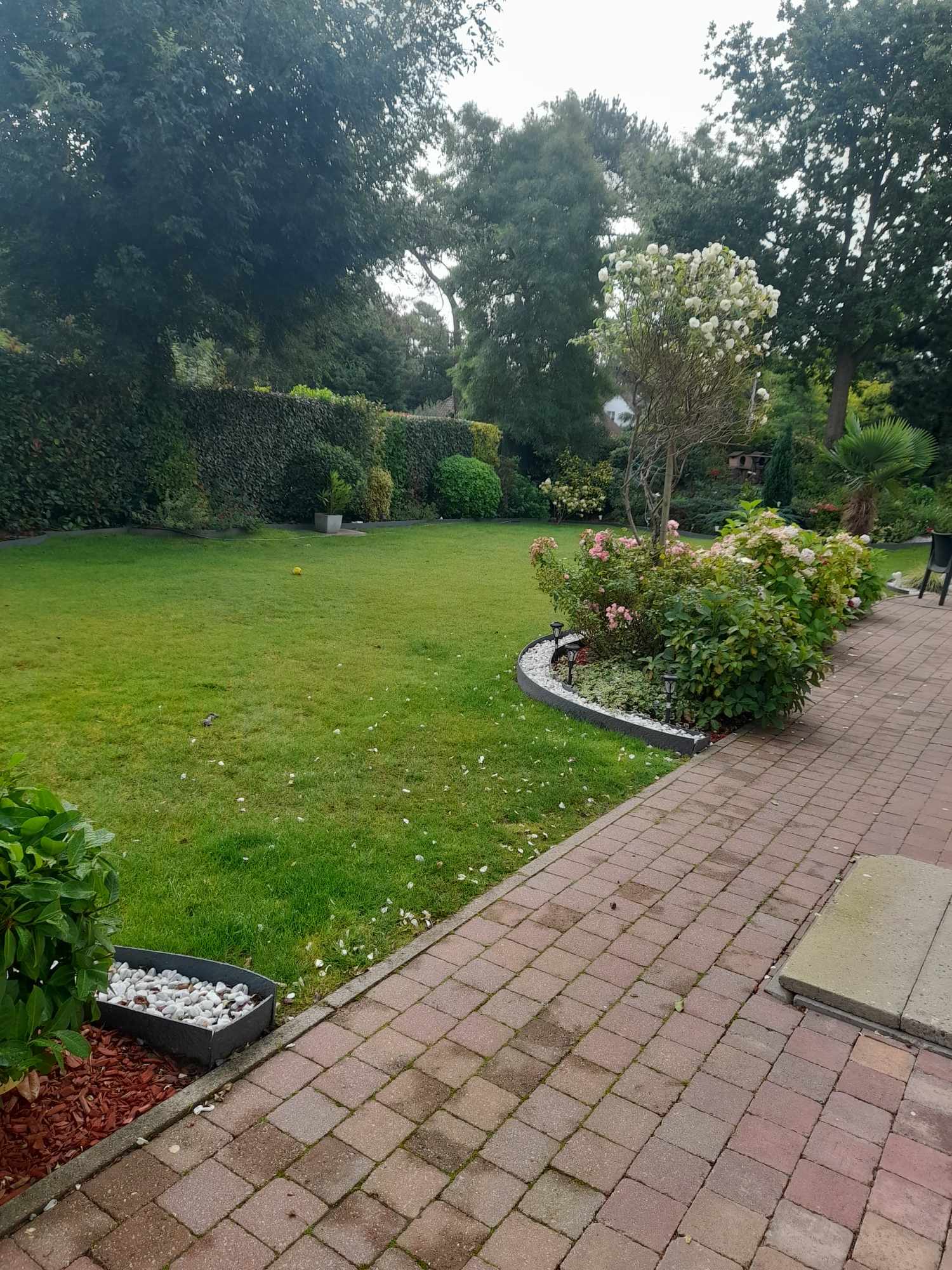 Photo n° 5 de l'avis de Alain.a fait le 17/08/2023 à 12:06