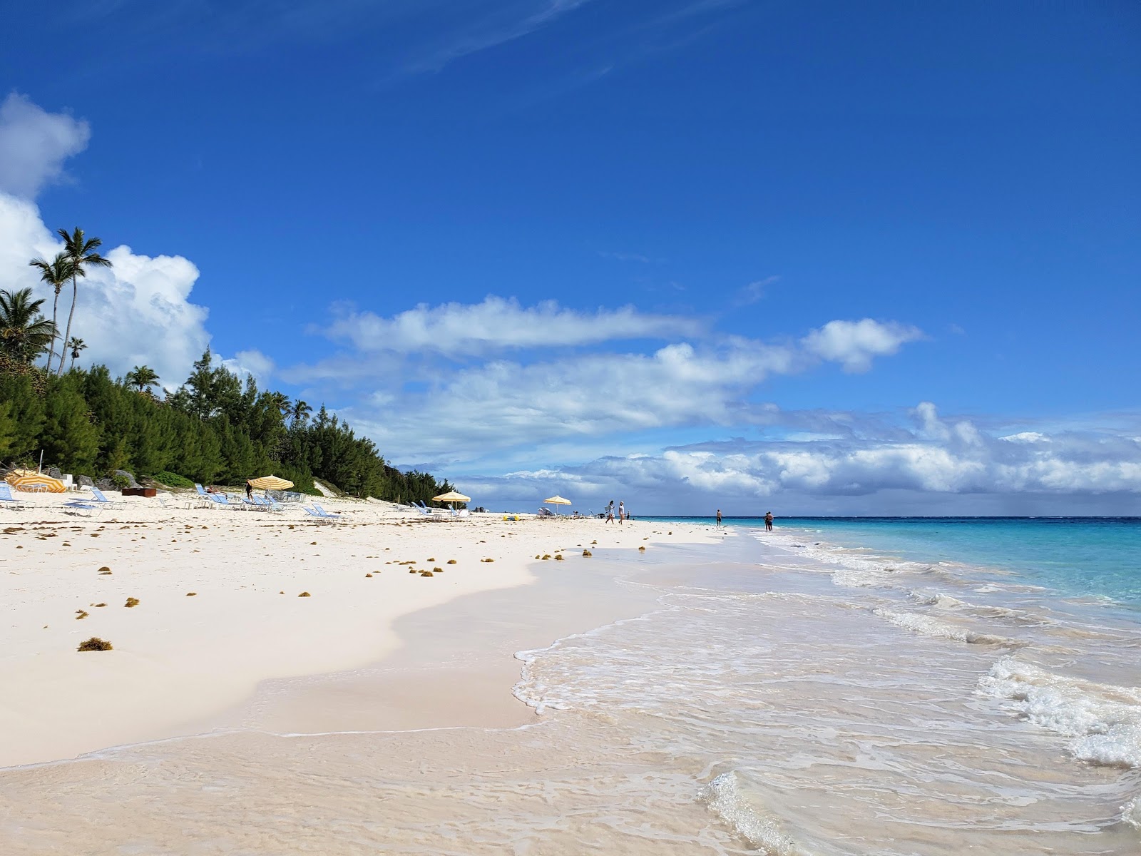Photo of Elbow Beach with turquoise pure water surface