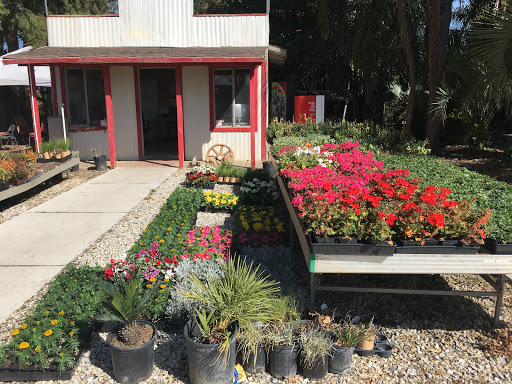 Adam Hall's Plant Nursery