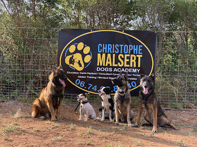 DOGS ACADEMY & SERVICES à Tourves