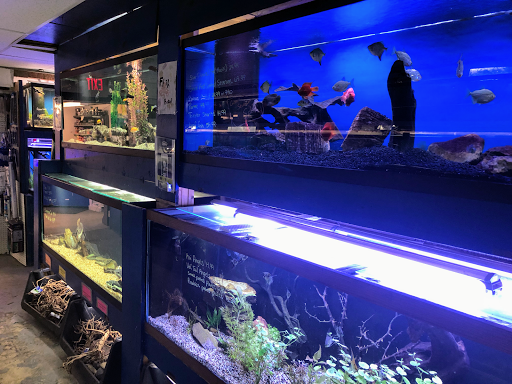 Pet Store «Fish Bowl Aquarium & Pet Mart», reviews and photos, 725 Providence St, West Warwick, RI 02893, USA