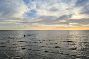 Dog Friendly Beach - Rickett's Point image