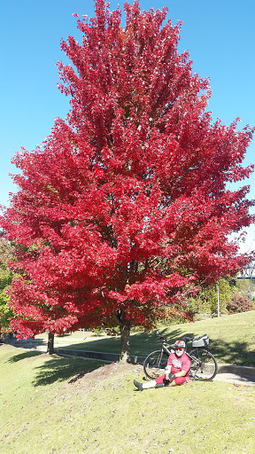 Park «William E. “Bill” Clark Presidential Park Wetlands», reviews and photos, President Clinton Ave, Little Rock, AR 72201, USA