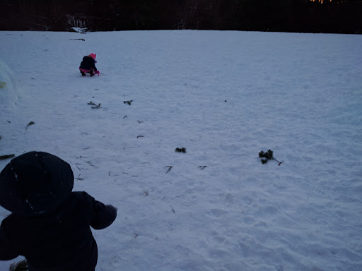 Park «Albert Kelly Park», reviews and photos, SW Dosch Rd & SW Mitchell St, Portland, OR 97239, USA